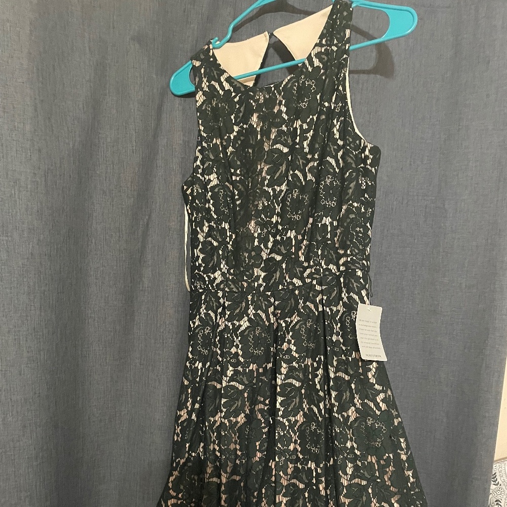 Elisa J Green lace over nude midi length dress